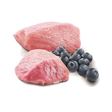 N&D Cat Prime Lamb & Blueberry Adult Cat Wet Food