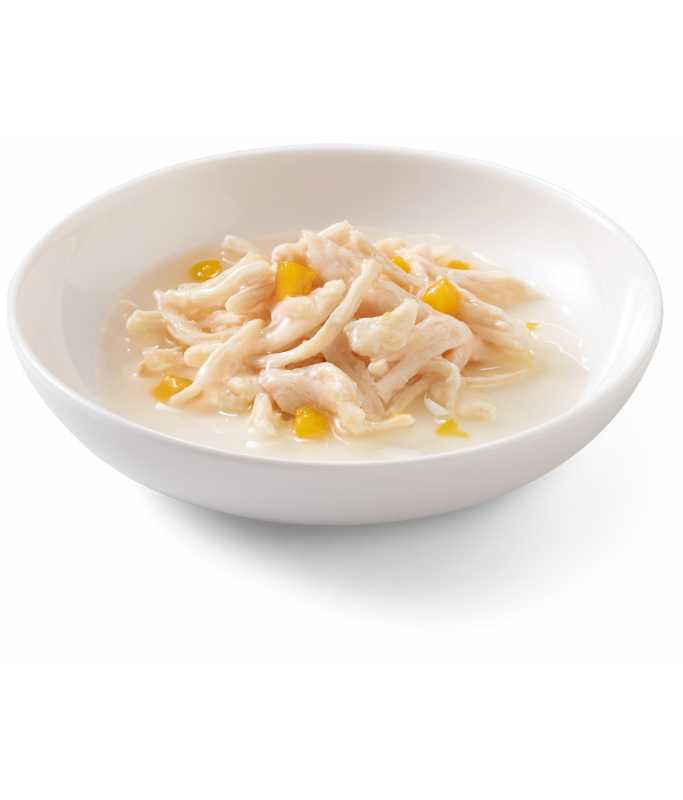 Schesir Chicken with Pumpkin Cat Multipack Can