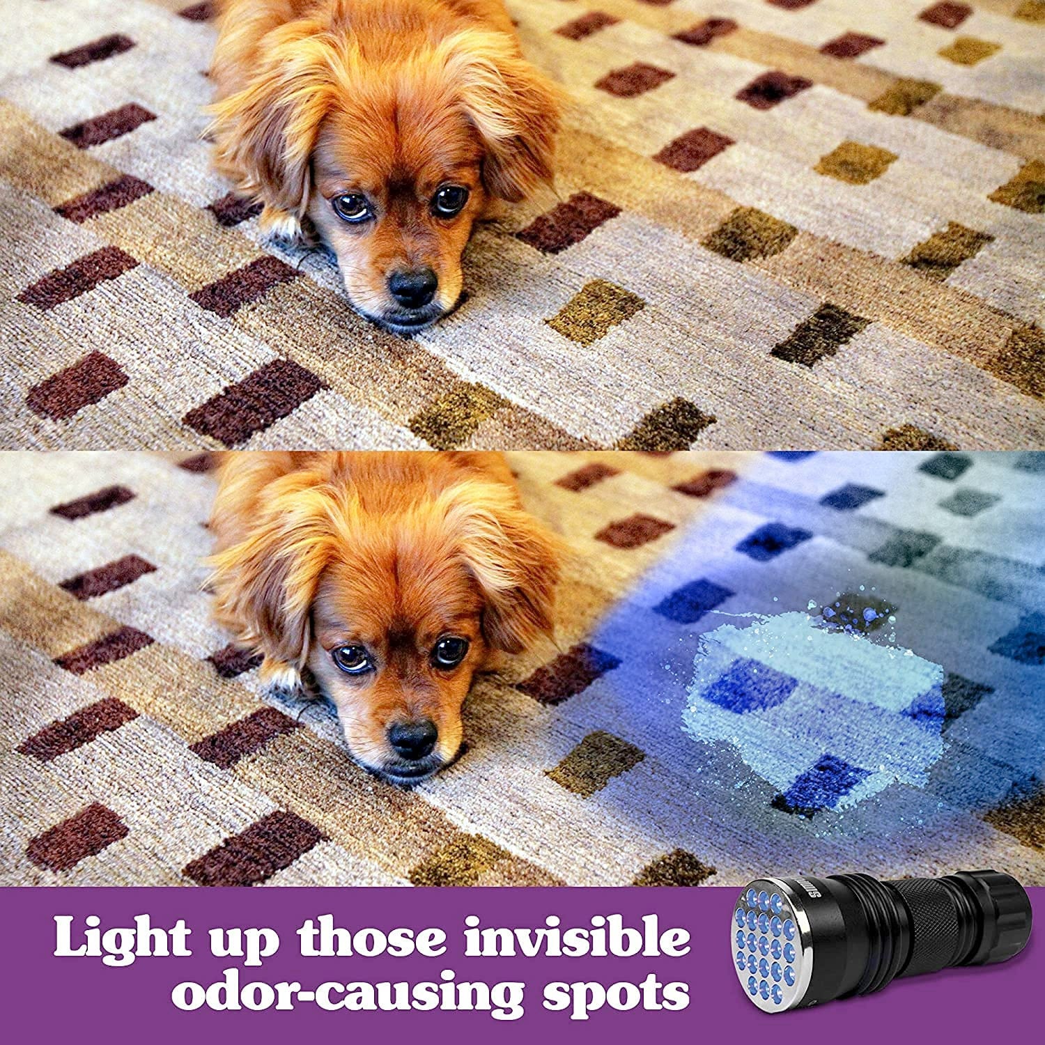 Pet Urine & Fungi Detector (جهاز كشف الفطريات)