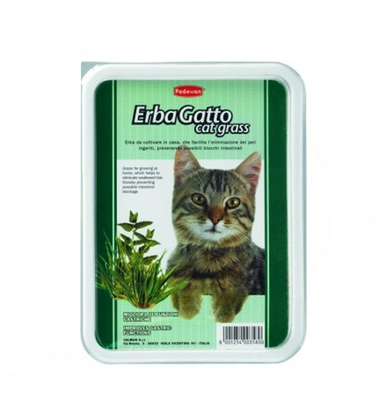 Padovan Erbagatto Cat Grass عشبة القطط