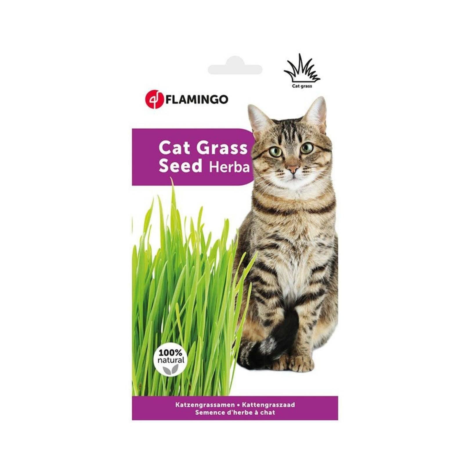 Flamingo Cat Grass Seed Herba Petz.ae