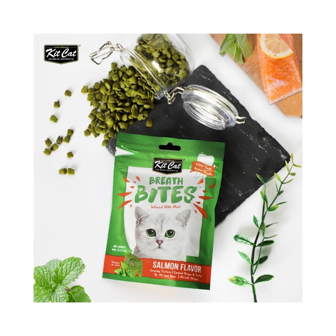 Kit Cat Breath Bites Salmon Flavor 60g Petz.ae Full