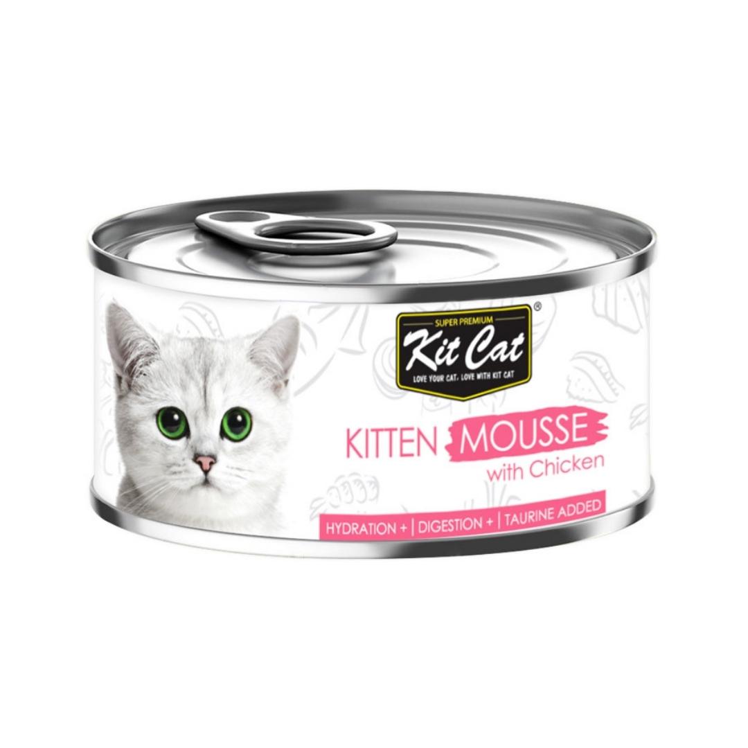 Kit Cat Kitten Mousse With Chicken CatWet Food 80g Petz.ae Dubai Pet Store