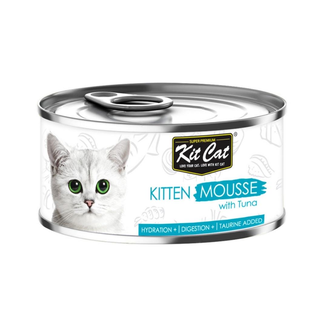 Kit Cat Kitten Mousse With Tuna Cat Wet Food 80g Petz.ae Dubai Pet Store