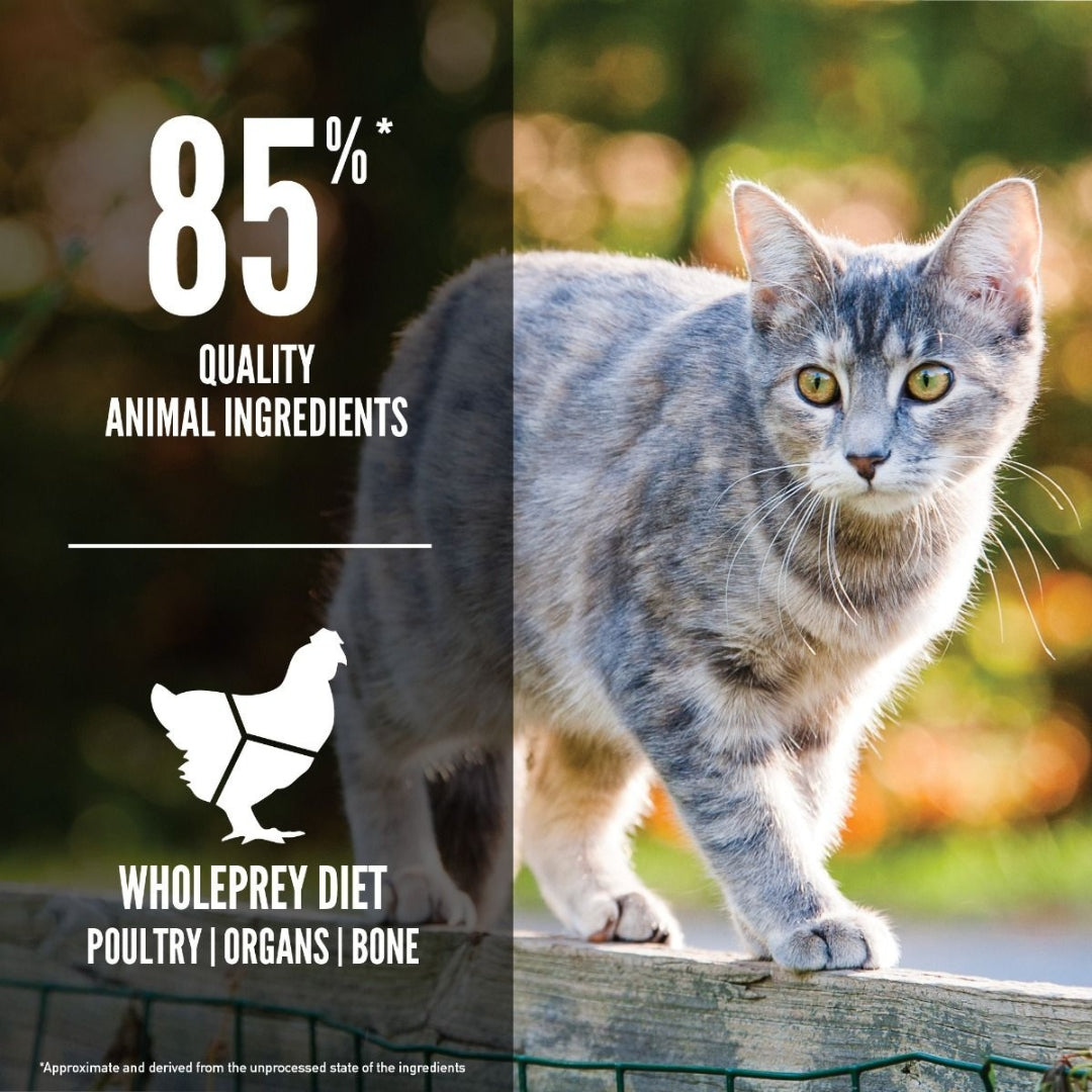 Orijen Original Cat Dry Food WholePrey diet features the most succulent parts of the prey, like poultry or fish, organs, and bone 4.