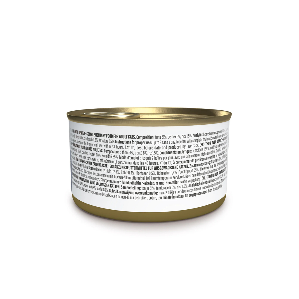 Schesir Tuna With Dentex 70g Complements Cat Wet Food in Jelly Can