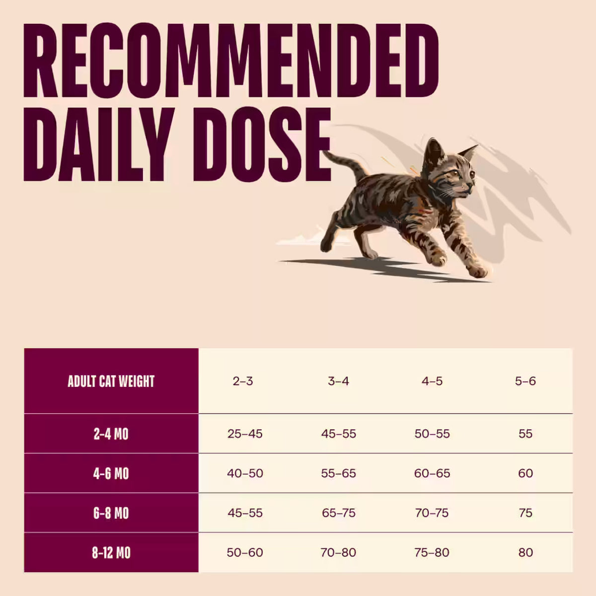 Carnilove True Fresh Beef for Kittens Dry Cat Food
