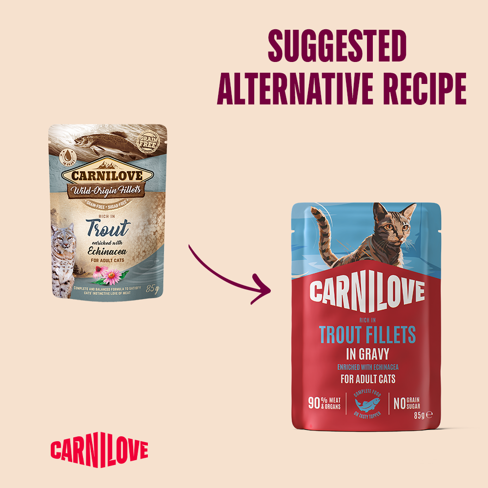 Carnilove Trout enriched with Echinacea for Adult Cats (Wet Food Pouches)