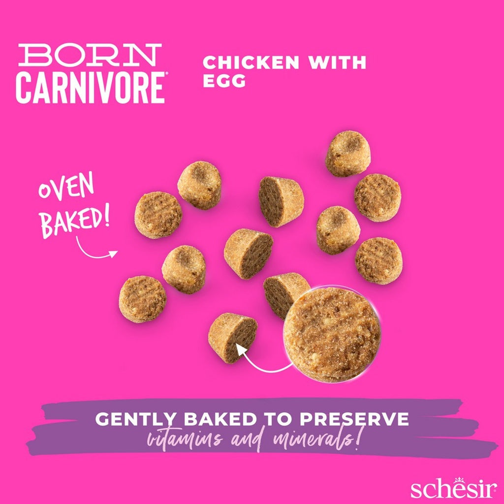 Schesir Born Carnivore Grain Free Oven Baked Dry Food [High-Protein] For Kitten - Chicken & Egg 255g
