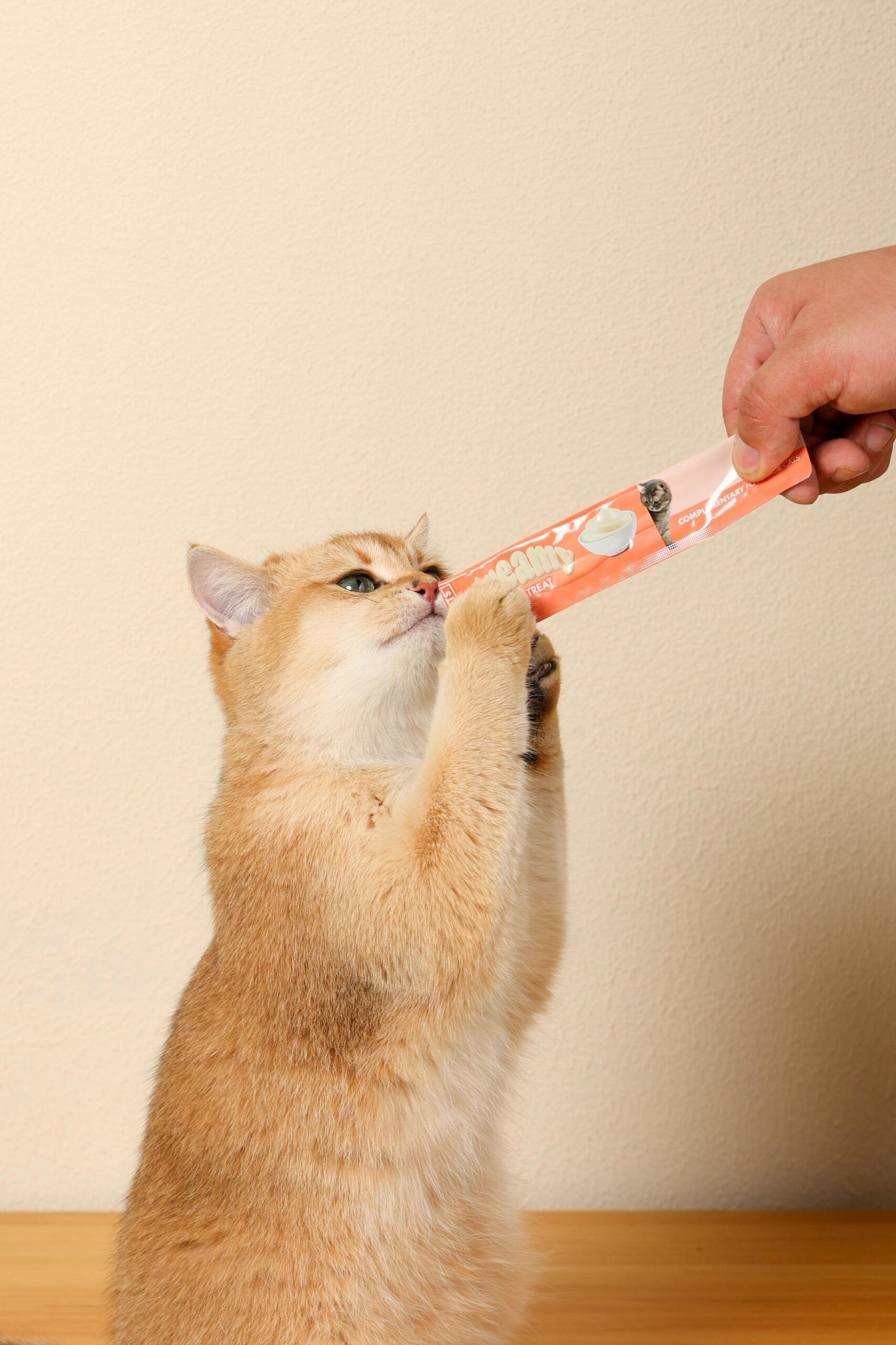 M-PETS Creamy Treats for Cats – Salmon