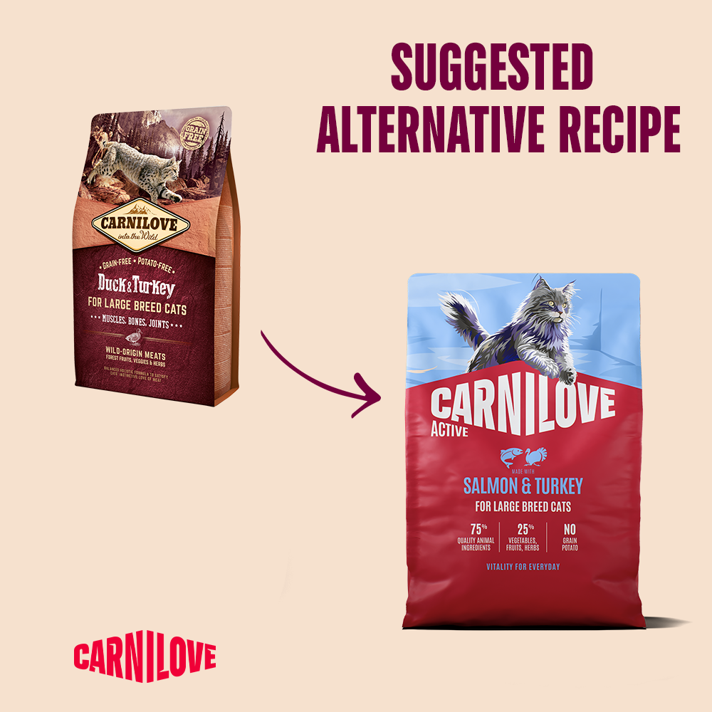 Carnilove Active Salmon & Turkey for Adult Large Breeds Dry Cat Food