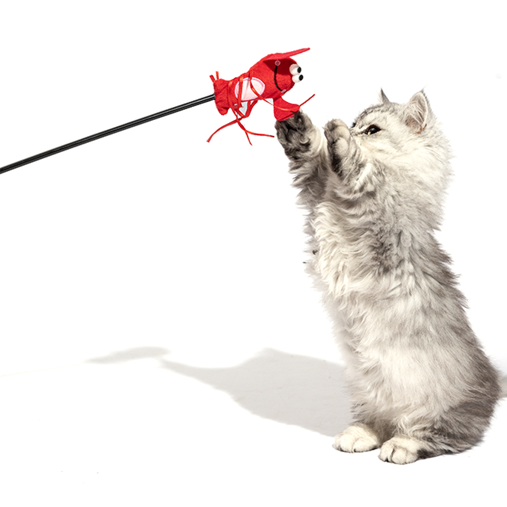 FOFOS Moving Lobster Cat Wand Cat Toy