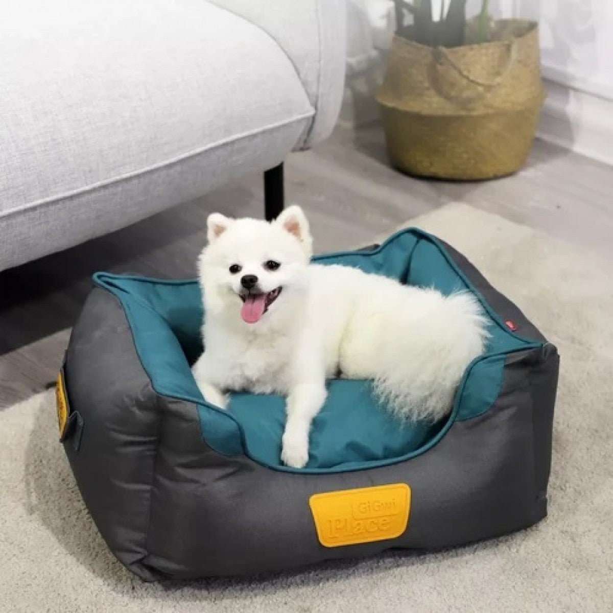 Soft Bed Blue & Black