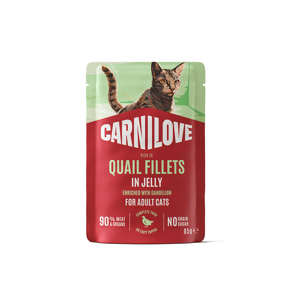 Carnilove Quail Fillets in Jelly enriched with Dandelion Wet Cat Food Pouch