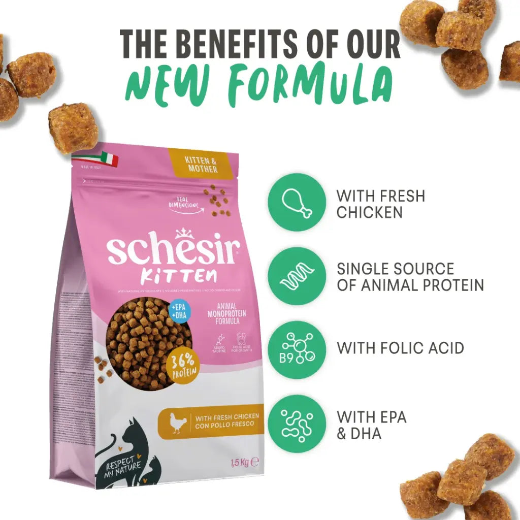 Schesir Monoprotein Kitten & Mother Dry Cat Food – Fresh Chicken