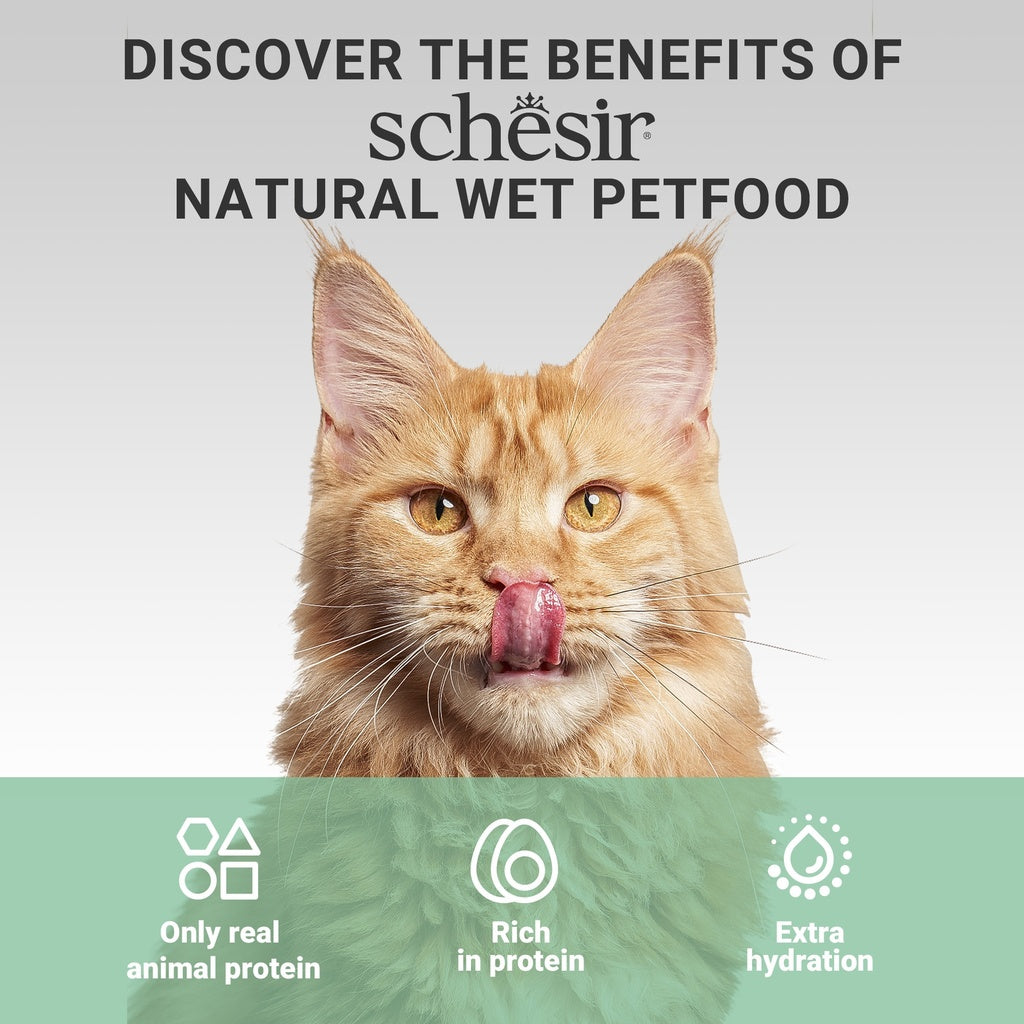 Schesir Chicken with Beef 70g Complements Cat Wet Food in Broth
