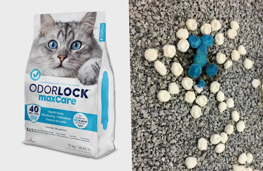 Odourlock Maxcare Cat Litter (2 Maximum per order)