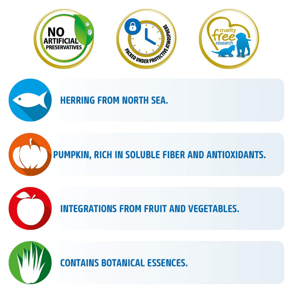 Ocean Cat Herring & Orange Adult Dry Food