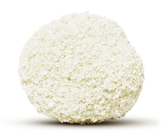 Sustainably Yours Natural Cat Litter (Plus)