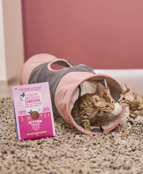 Schesir Born Carnivore Grain Free Oven Baked Dry Food [High-Protein] For Kitten - Chicken & Egg 255g