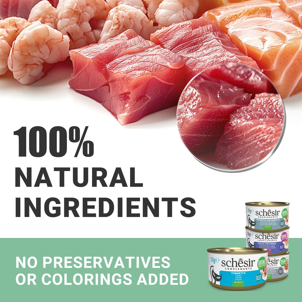 Schesir Chicken with Beef 70g Complements Cat Wet Food in Broth