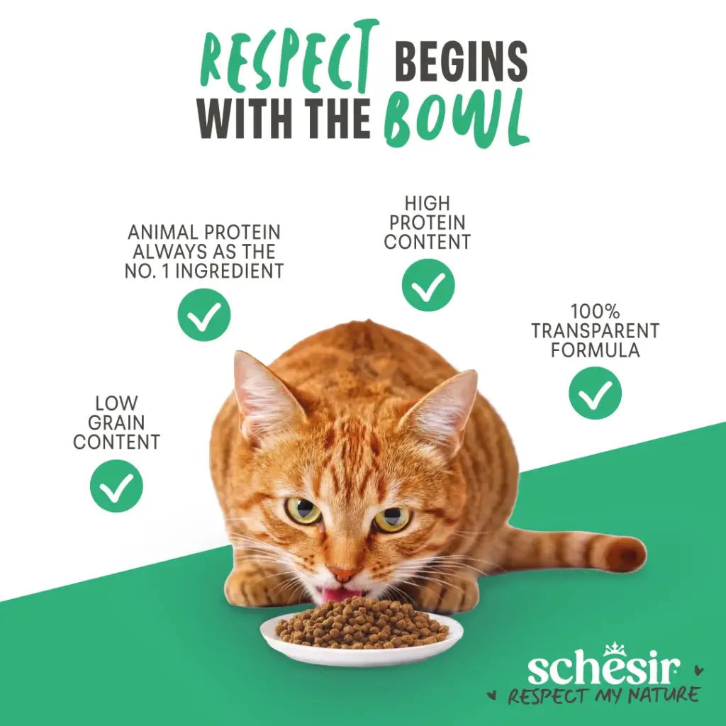 Schesir Monoprotein Adult Dry Cat Food – Hairball-Fresh Chicken