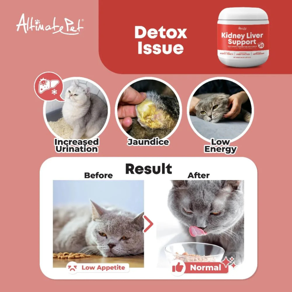 Kidney Liver Support 150g Altimate Pet Supplement for Cats