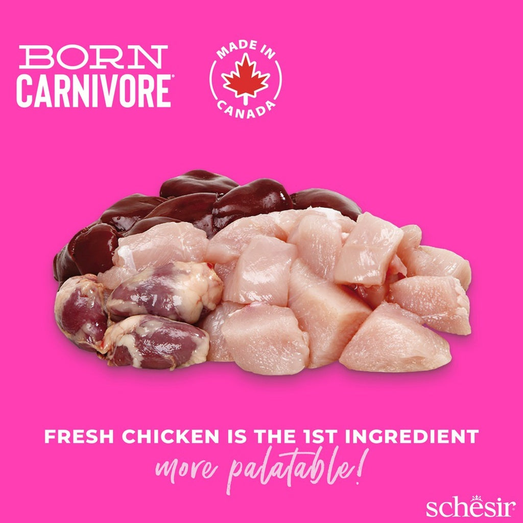 Schesir Born Carnivore Grain Free Oven Baked Dry Food [High-Protein] For Kitten - Chicken & Egg 255g
