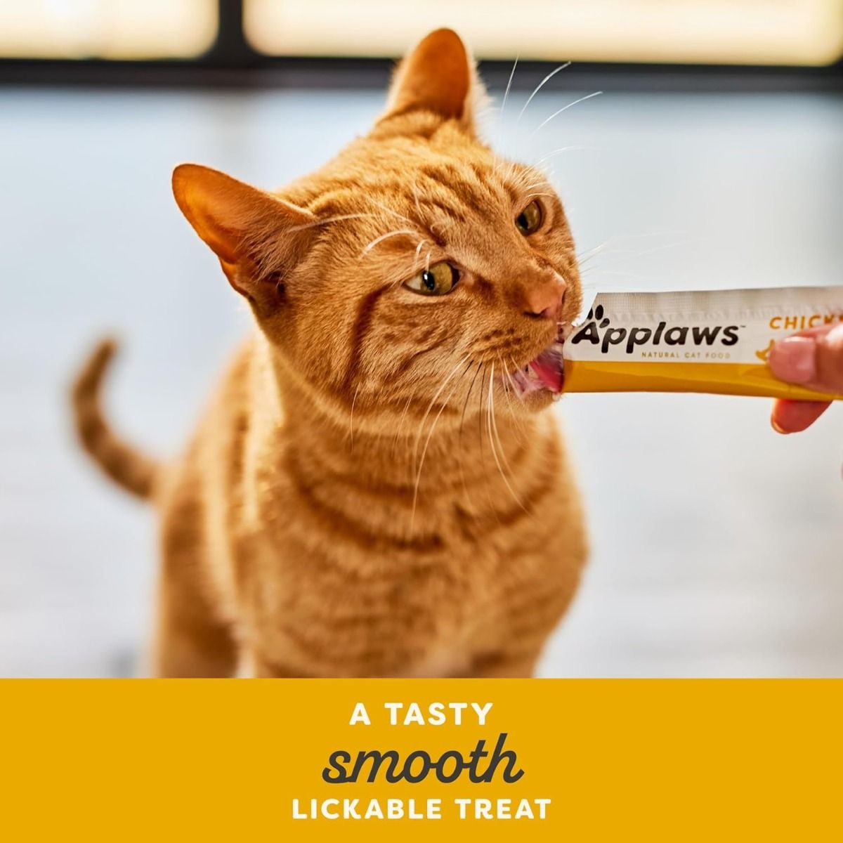 Applaws Chicken Creamy Lickable Cat Treats 4x15g