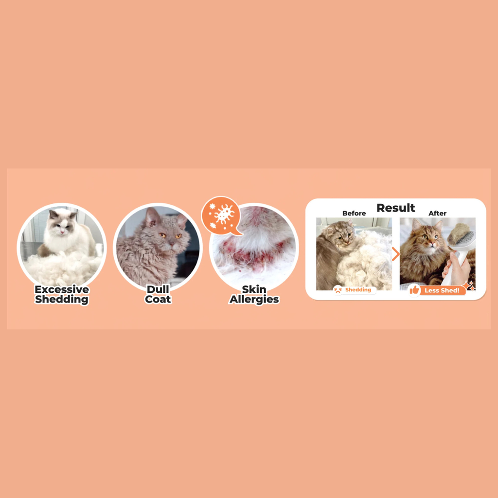 Anti Shedding Powder 150g Altimate Pet Supplement for Cats