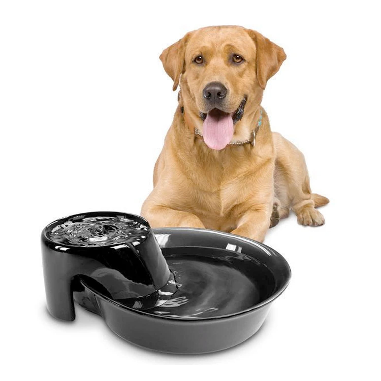 Big Max Ceramic Pet Drinking Fountain 128oz