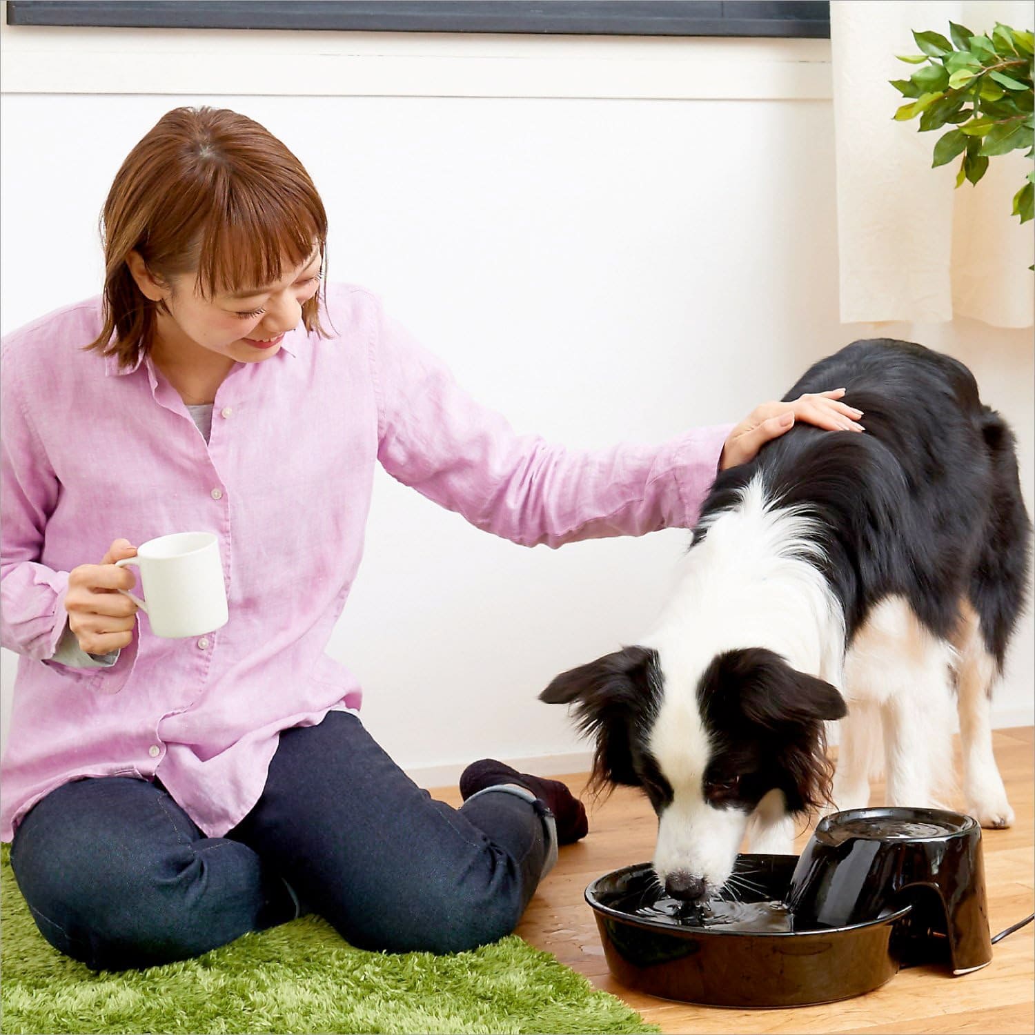 Big Max Ceramic Pet Drinking Fountain 128oz