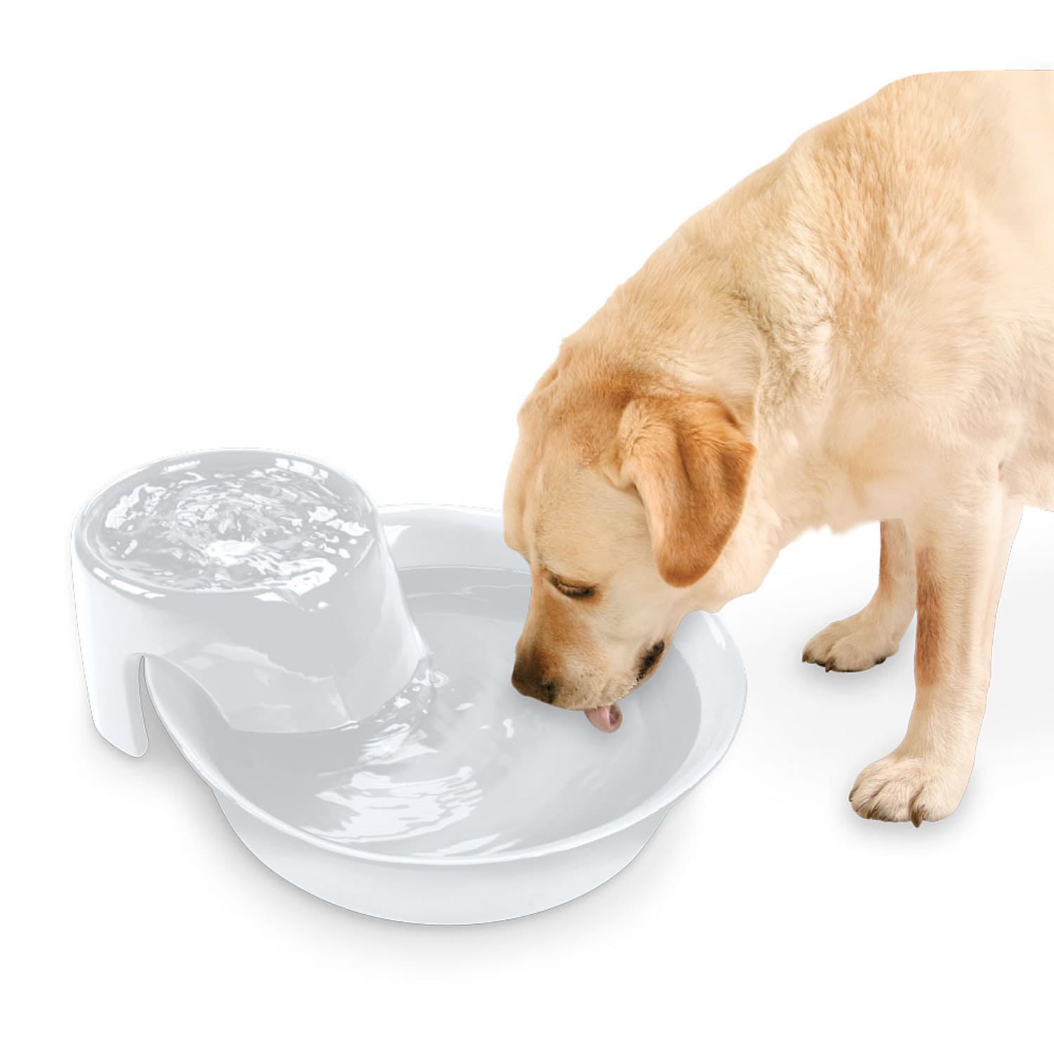 Big Max Ceramic Pet Drinking Fountain 128oz