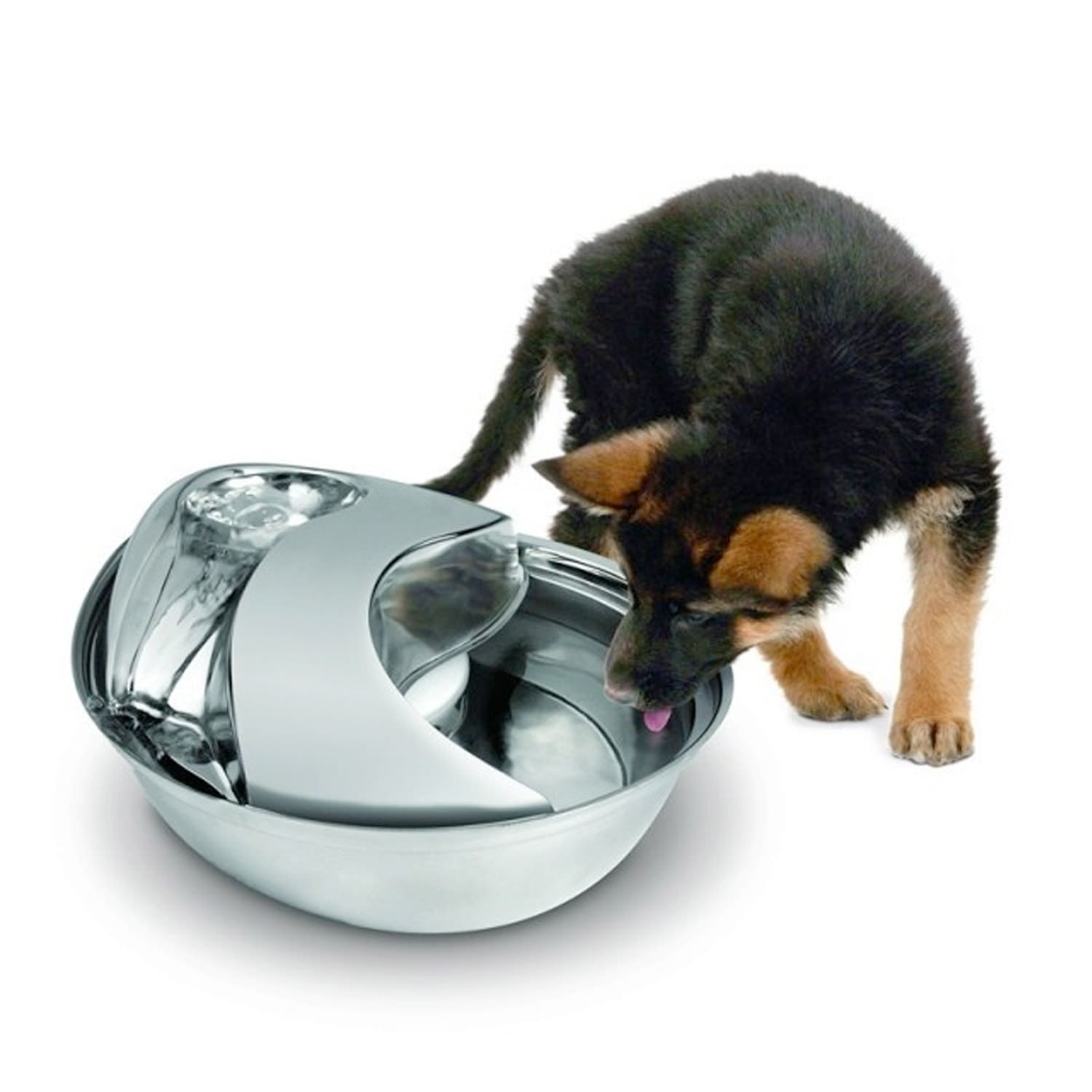 Raindrop Durable Pet Fountain 60oz (Stainless Steel)