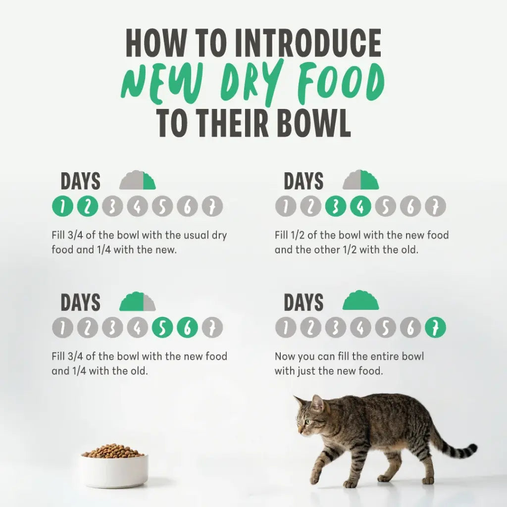 Schesir Monoprotein Kitten & Mother Dry Cat Food – Fresh Chicken