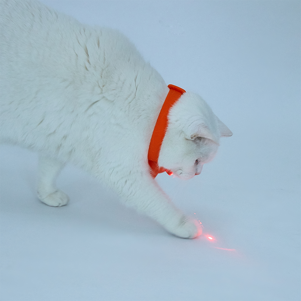 FOFOS Laser Cat Collar