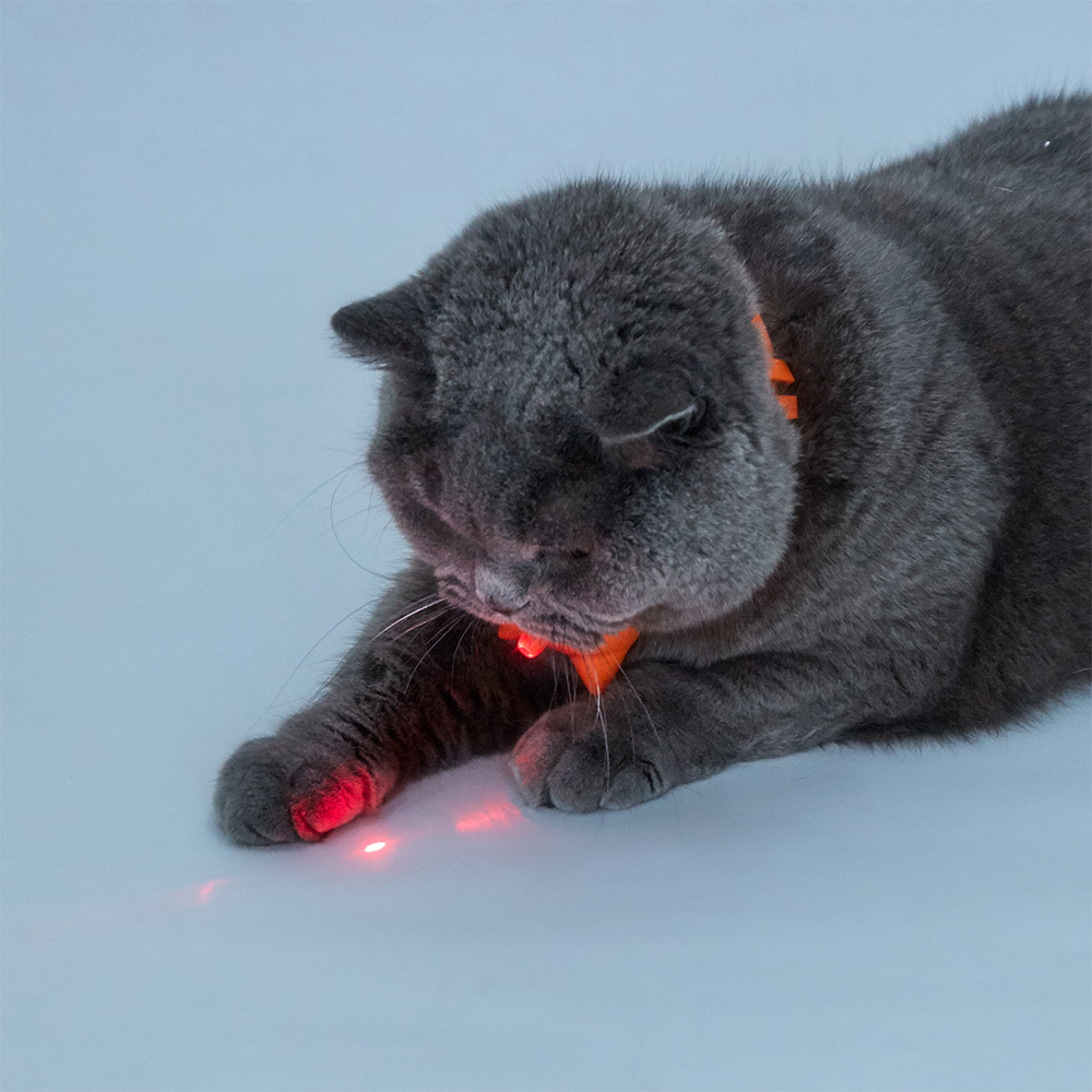 FOFOS Laser Cat Collar