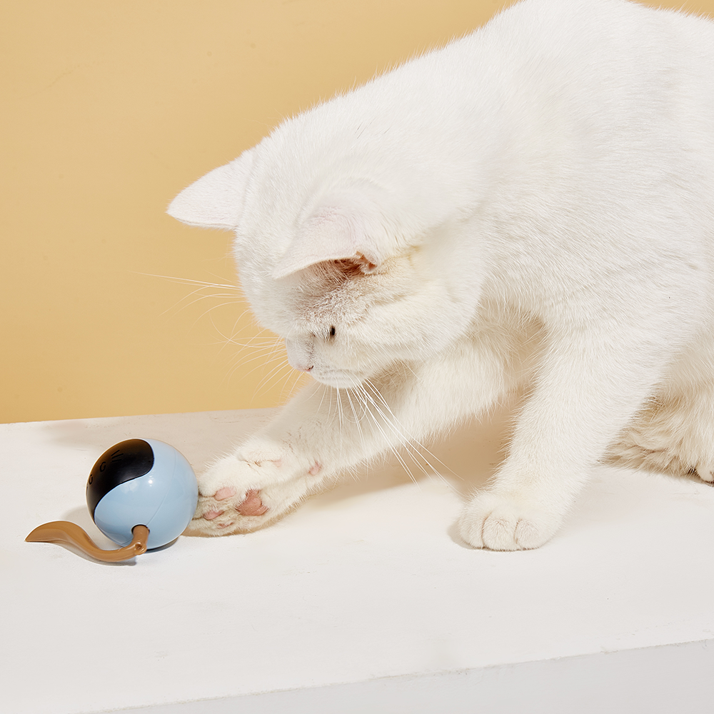 FOFOS Magic Ball Tumbler Cat Toy