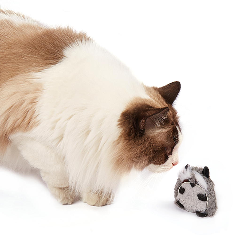 Raccoon Floppy Crinkle