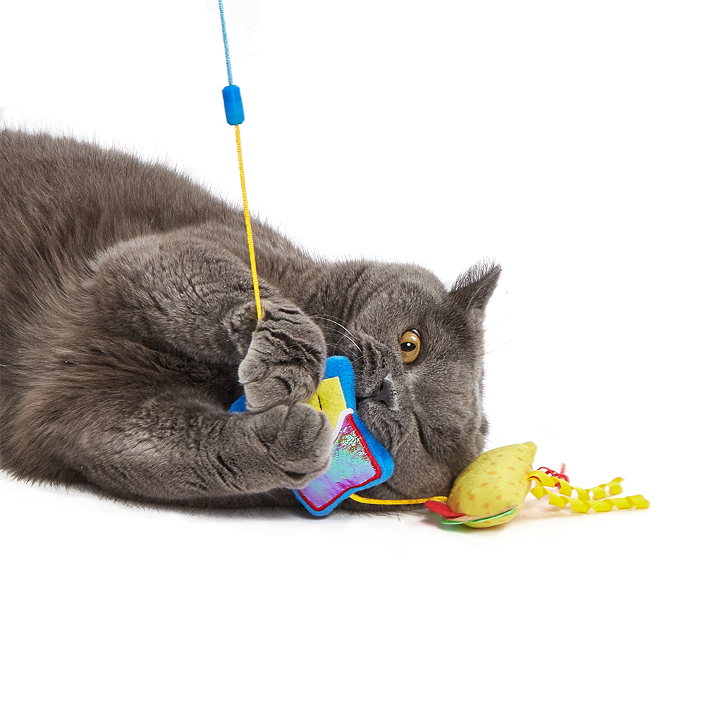 FOFOS Replaceable Cat Wand