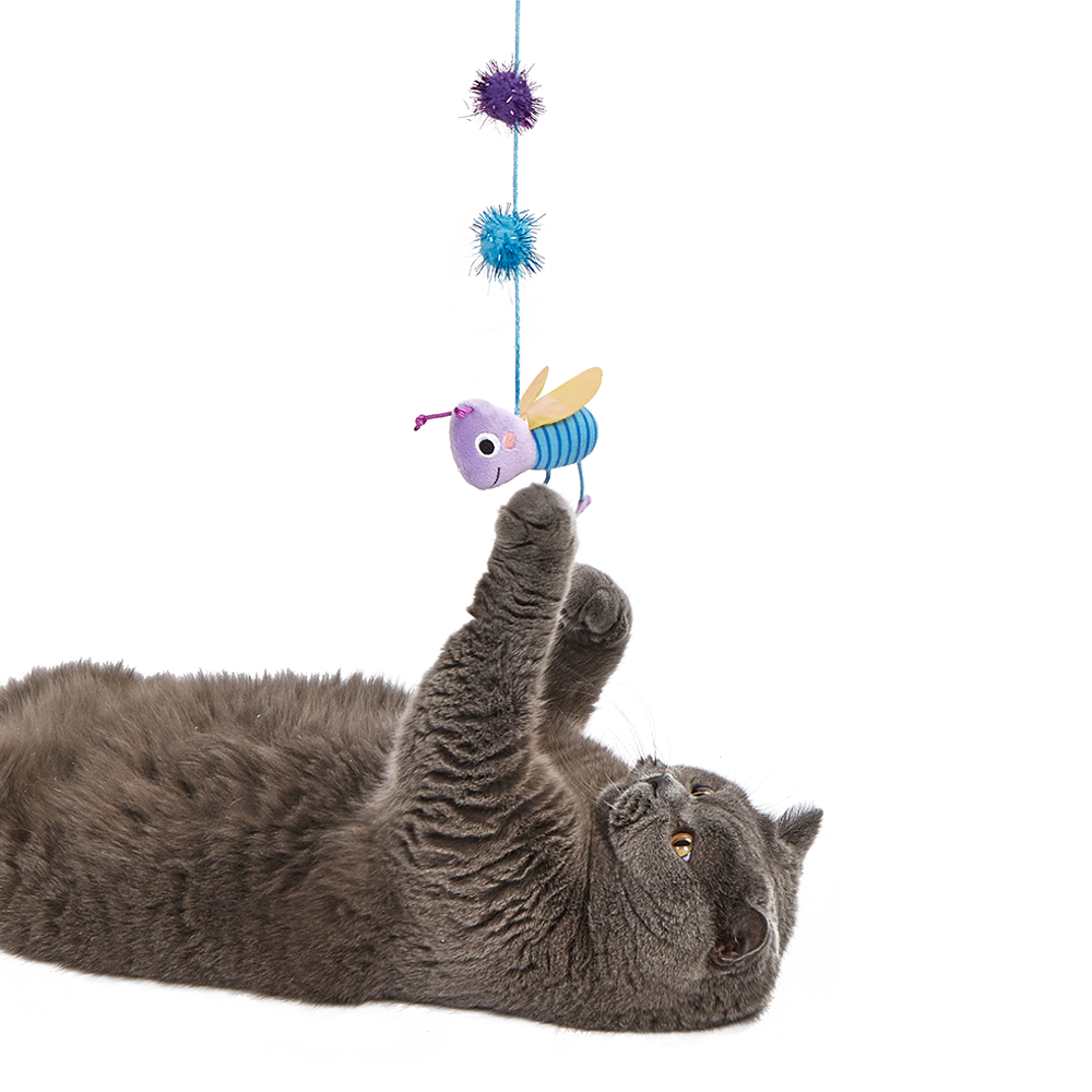 FOFOS Replaceable Cat Wand