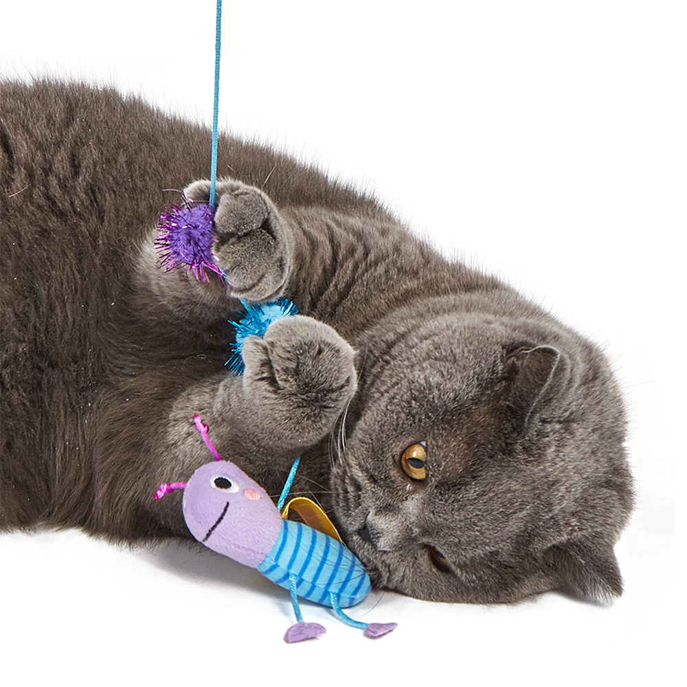 FOFOS Replaceable Cat Wand