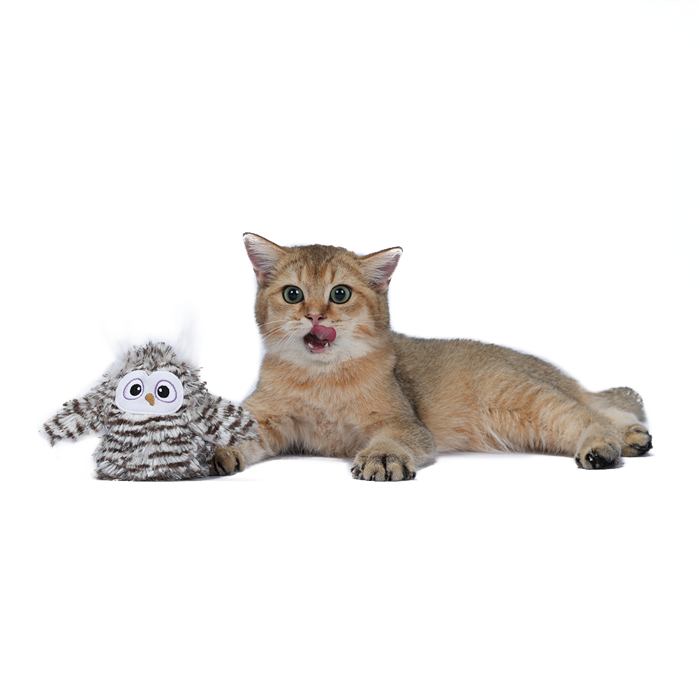 FOFOS Swinging Interactive Cat Toy