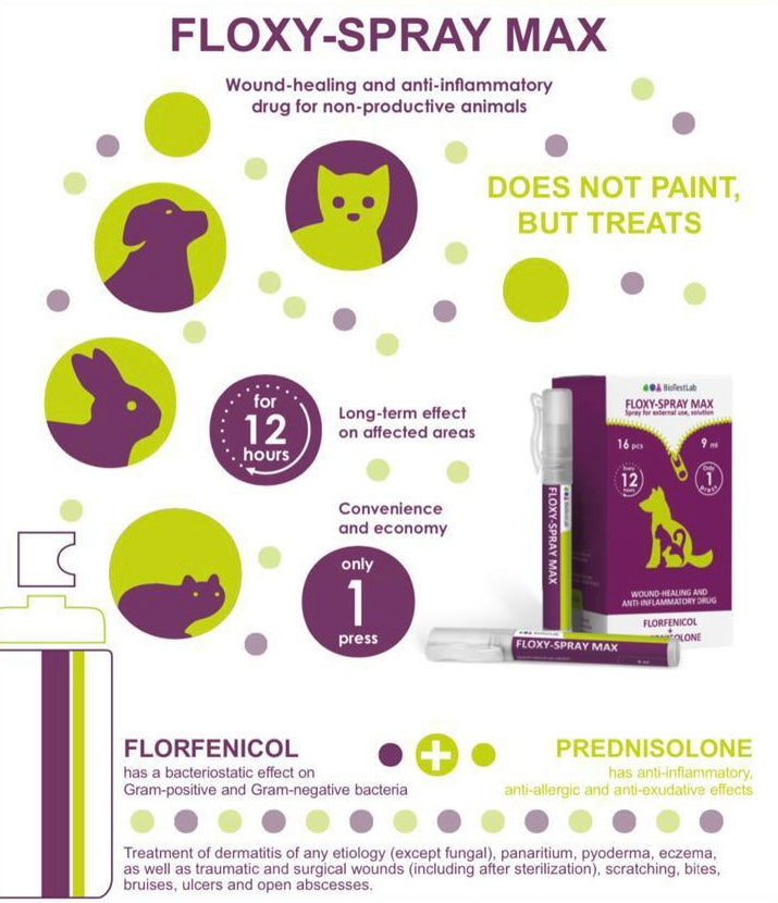 FLOXY-SPRAY MAX (9ml)