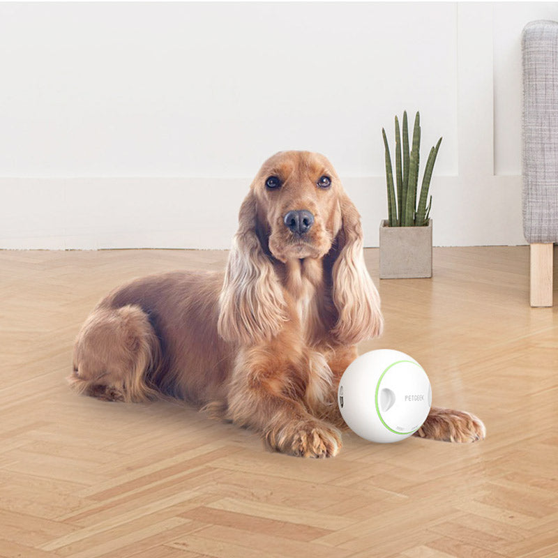 PetGeek Automatic Rolling Treat Ball