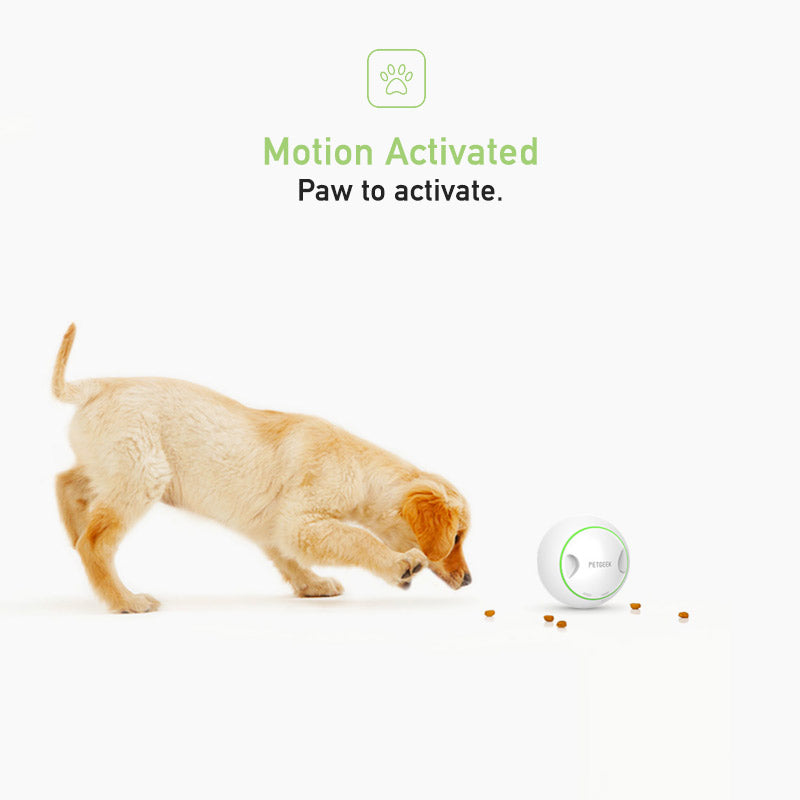 PetGeek Automatic Rolling Treat Ball