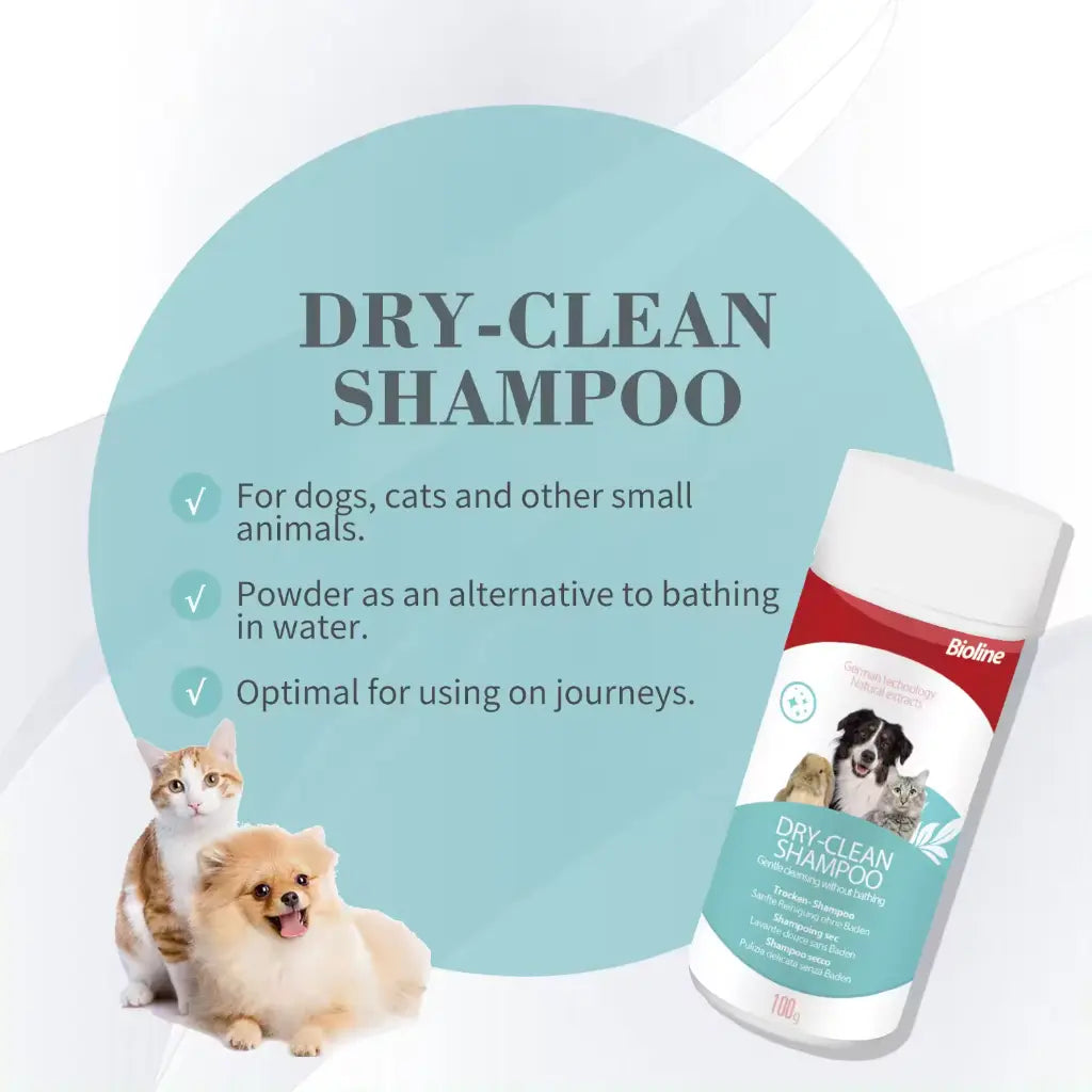 Boline Dry Clean Shampoo
