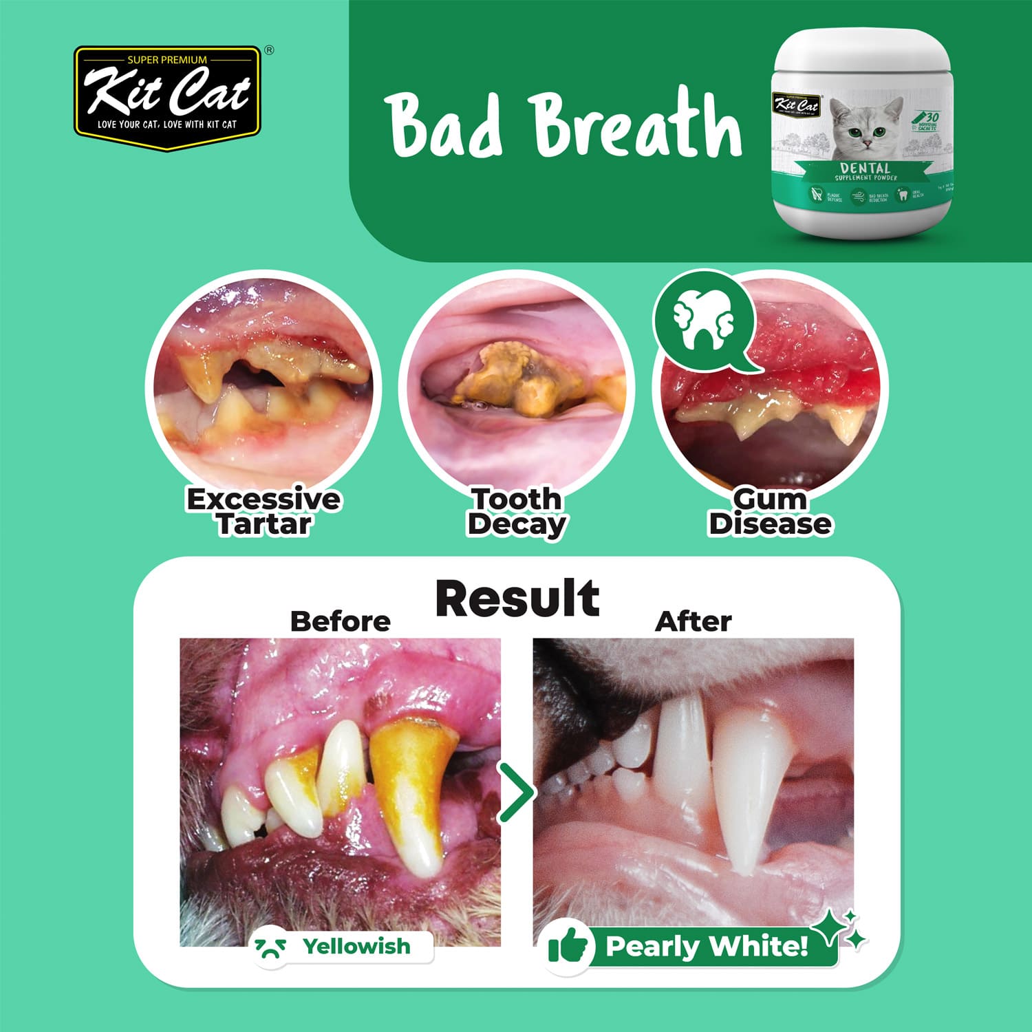 Kit Cat Dental Supplement Powder 150g