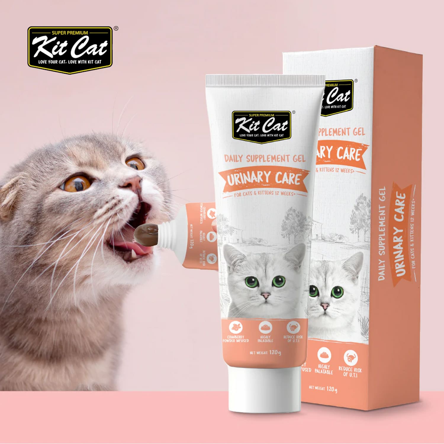 Kit Cat Daily Nutritional Supplement Gel For Cats & Kittens – Urinary Care