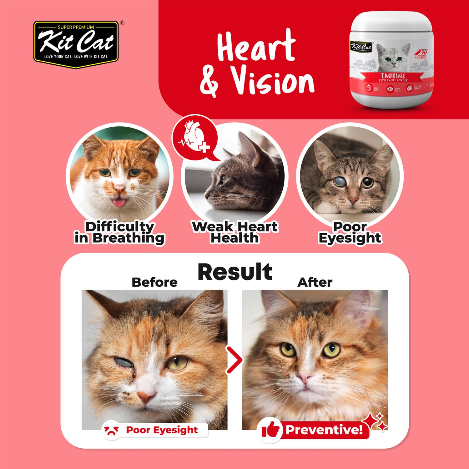 Kit Cat Taurine Supplement Powder 150g